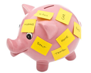 categorii de cheltuieli