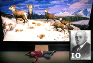 inventii romanesti celebre