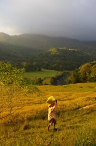 viata-la-tara viata la tara