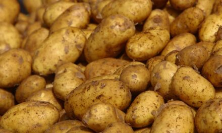 Rata inflatiei 2011 – un record… pozitiv. Ce s-a ieftinit?