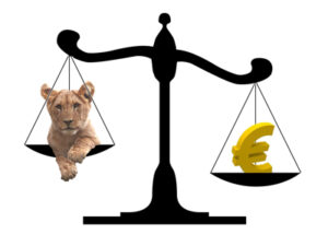 cresterea euro