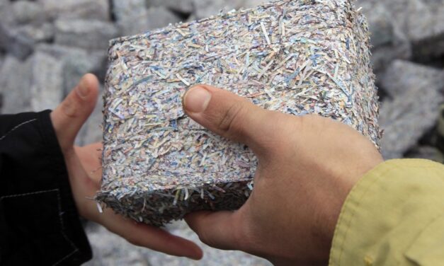 Bancnote vechi, pe foc. Cum se incalzesc saracii din Ungaria