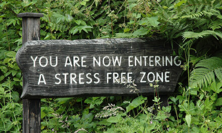 9  joburi fara stres, remunerate decent