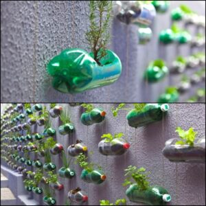 sticle din plastic