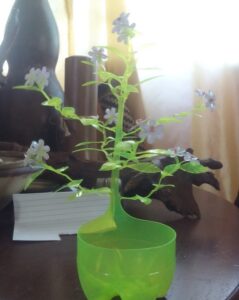 sticle din plastic