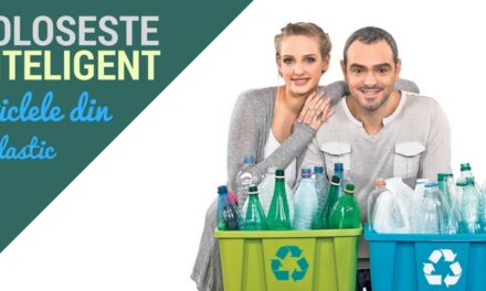 10 idei creative de a reutiliza sticlele din plastic