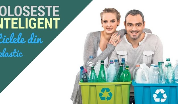 10 idei creative de a reutiliza sticlele din plastic