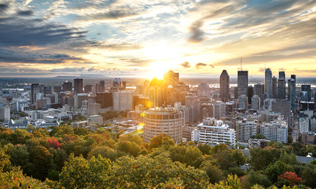 Merwede – Cartierul olandez cu o masina utilizata in comun de 3 familii