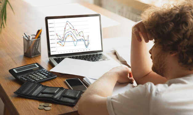 Avantajele utilizării software-ului de monitorizare a prețurilor