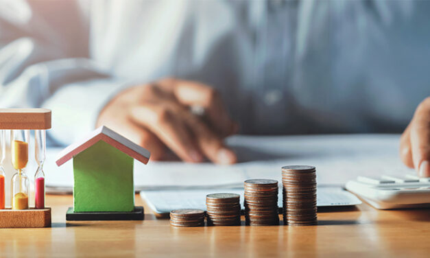 Bugetul in 12 pasi – ponturi pentru incepatori