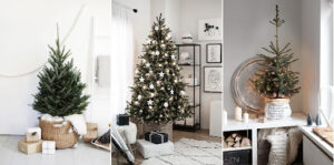 Brad natural sau brad artificial?