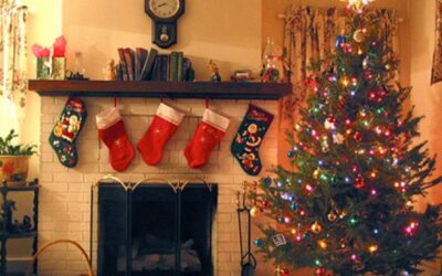 Bradul de Craciun: o bucurie costisitoare