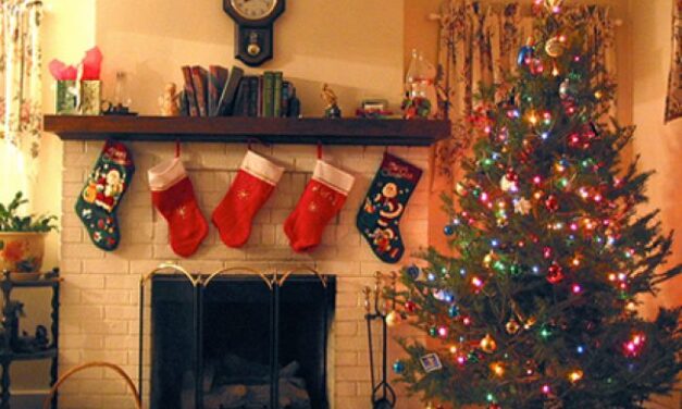 Bradul si diferite stiluri de decorare – cu instalatii de Craciun sau fara ? Cu multe globuri sau doar cu beteala ?