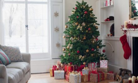 Ce criterii de selectie exista pentru alegerea unui brad artificial de Craciun?