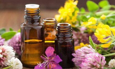 ULei esential – Este posibil sa se mentina proprietatile specifice ale plantei din care este obtinut uleiul ?