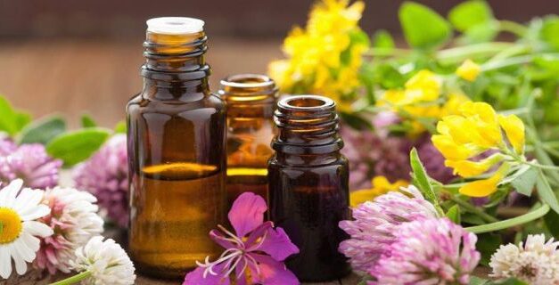 ULei esential – Este posibil sa se mentina proprietatile specifice ale plantei din care este obtinut uleiul ?