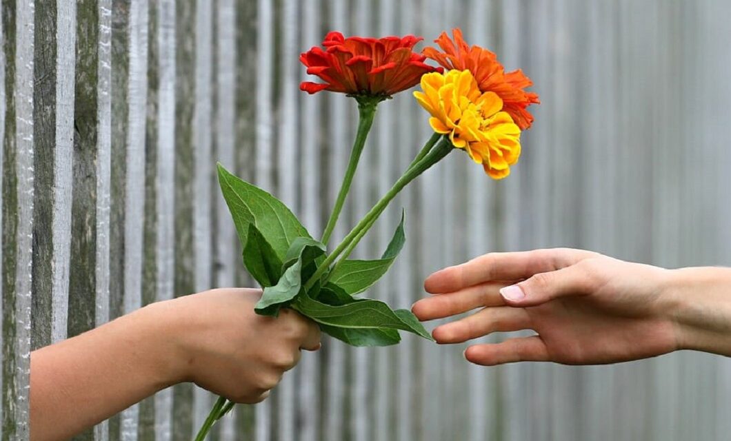 Felicitari – de ce preferi sa oferi flori?