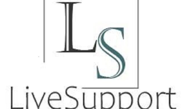 Cum te ajuta serviciile profesionale de live support atunci cand magazinul tau online are un sediu de dimensiuni mici