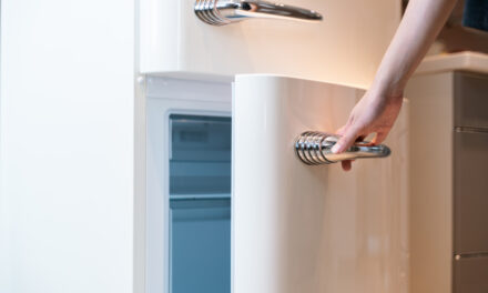 Defectiuni ale frigiderului pe care si femeile le pot depista.