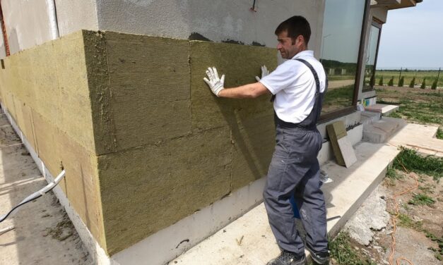 Totul despre vata bazaltica