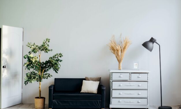 Stilul de amenajare rustic – cum poți obține un look demn de reviste în livingul tău