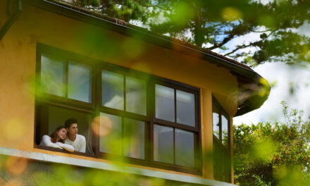 Beneficiile achiziționării unui apartament lângă spații verzi – O viață în armonie cu natura