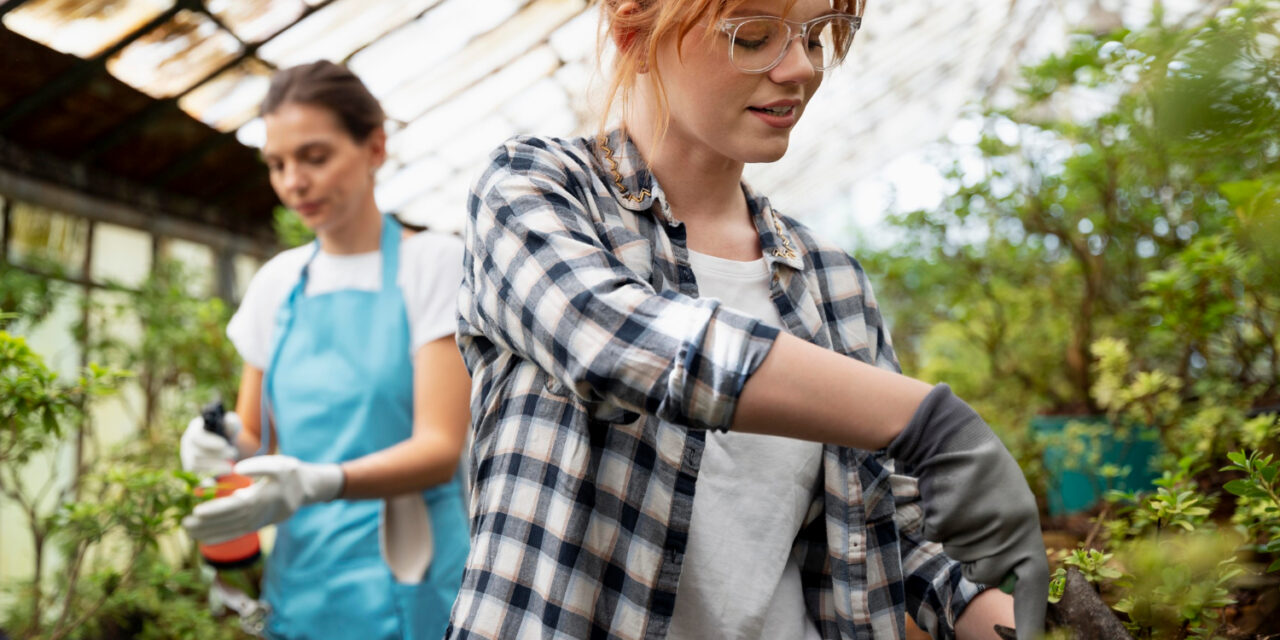 Îngrijirea Plantelor dintr-un Solar: Sfaturi și Practici Pentru O Recoltă Bogată și Sănătoasă