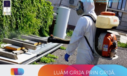 Plosnitele de Pat: Infestarea Neinvitata care Va Fura Somnul