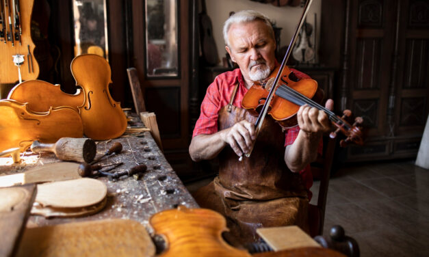 Care sunt cele mai importante firme care produc viori?