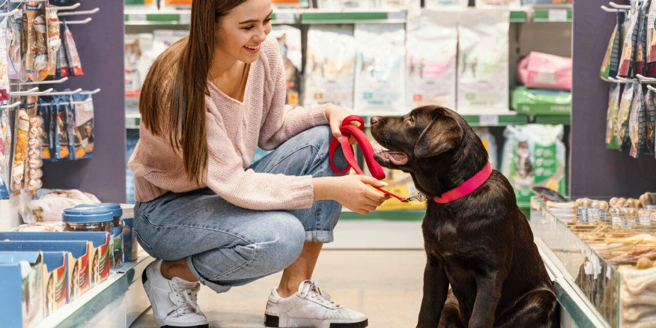 Ce Poți Găsi într-un Pet Shop: Variația de Produse pentru Animalele de Companie