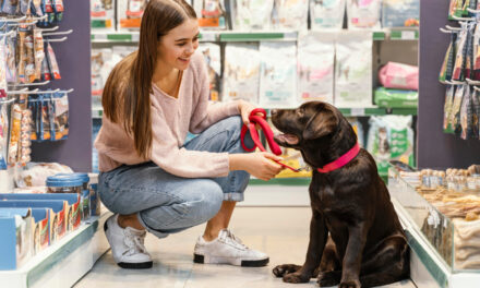 Ce Poți Găsi într-un Pet Shop: Variația de Produse pentru Animalele de Companie