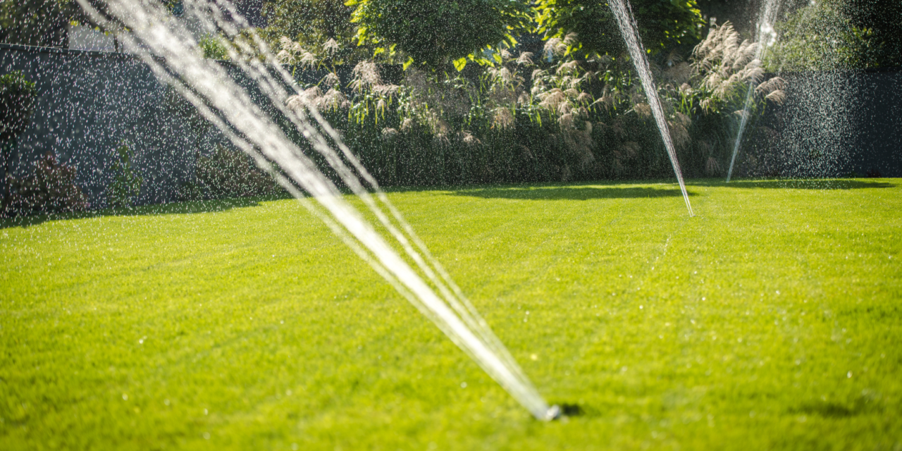 Sisteme de irigații inteligente: cum să reduci costurile și să crești eficiența