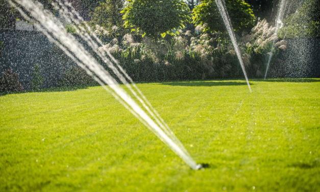 Sisteme de irigații inteligente: cum să reduci costurile și să crești eficiența