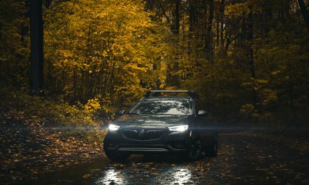 Cele mai populare branduri de jante tabla auto – Optiuni de incredere pentru siguranta si durabilitate