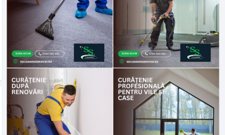 SS Custom Cleaning Services SRL: Servicii Profesionale de Curățare a Canapelelor și Mochetei