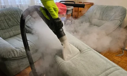 Curățare tapițerie Oradea: soluții moderne și sigure