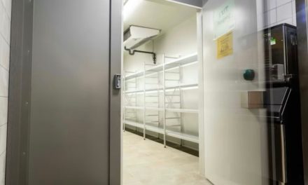 Uși Industriale BRUCHA: Soluții de Top pentru Spații Industriale din România