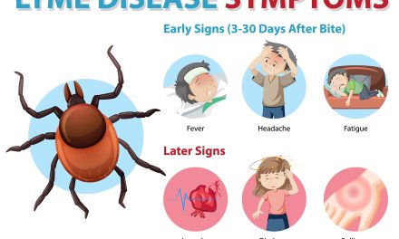 Boala Lyme: Ghidul complet pentru recunoaștere, tratament și prevenție