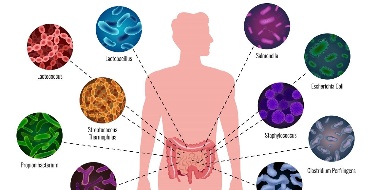 Infecția cu Clostridium difficile: Ce trebuie să știe fiecare român despre această boală insidioasă