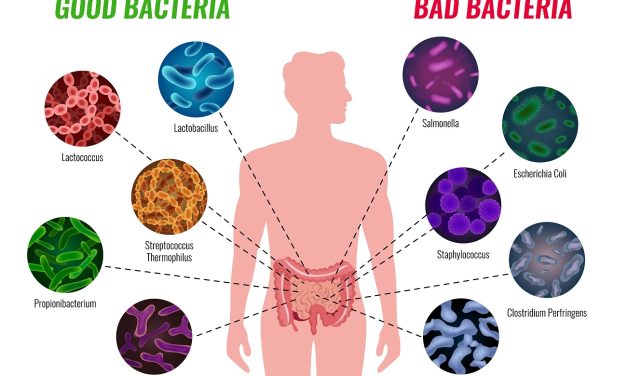 Infecția cu Clostridium difficile: Ce trebuie să știe fiecare român despre această boală insidioasă
