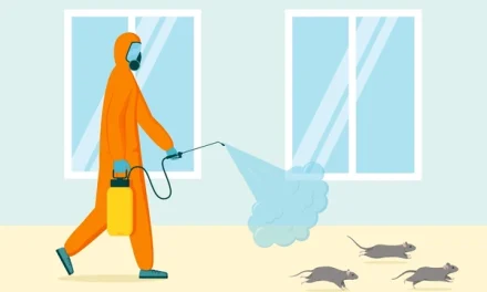 Insecte care atacă bibliotecile și documentele. Protecția cărților tale pas cu pas