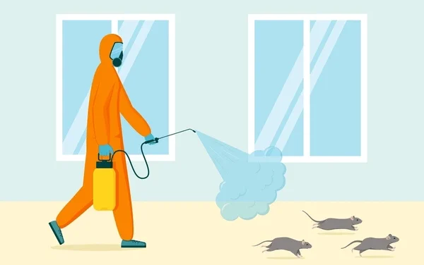 Insecte care atacă bibliotecile și documentele. Protecția cărților tale pas cu pas