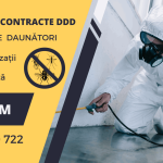 Dezinsecția: Ghidul Complet pentru Sănătate Publică și Siguranța Căminului – De la Prevenție la Intervenție Specializată