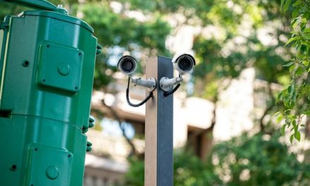 Digitalizarea locurilor de muncă – cum transformă competențele digitale profesiile tradiționale