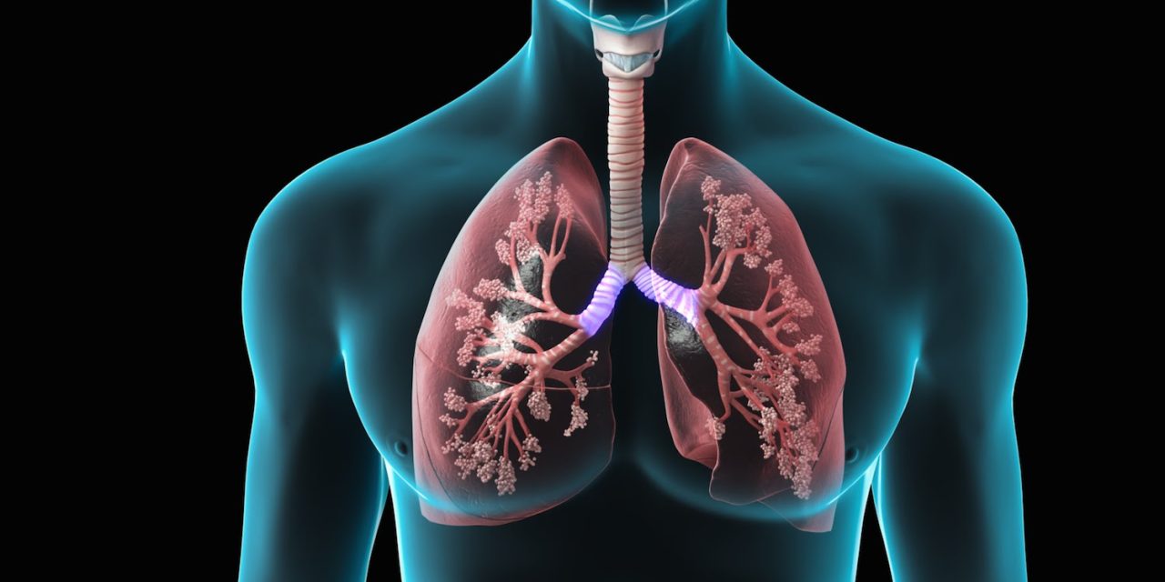Viciile si afectiunile pulmonare